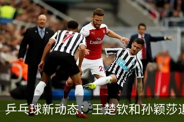 乒乓球新动态：王楚钦和孙颖莎退赛，名单更新来啦！