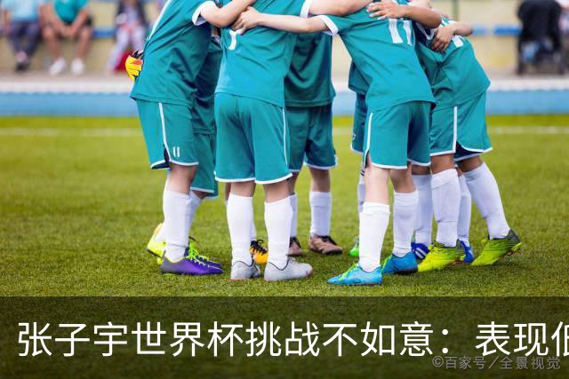 张子宇世界杯挑战不如意：表现低迷难显身高优势
